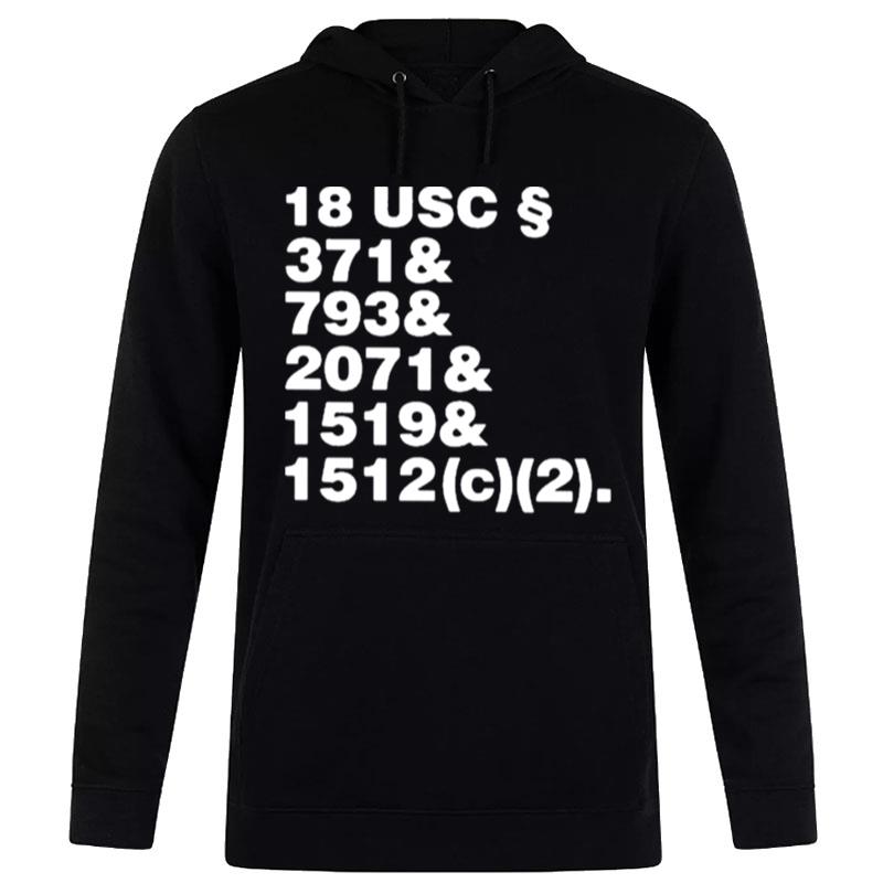 18 Usc 371& 793& 2071& 1519& 1512(C)(2) Hoodie