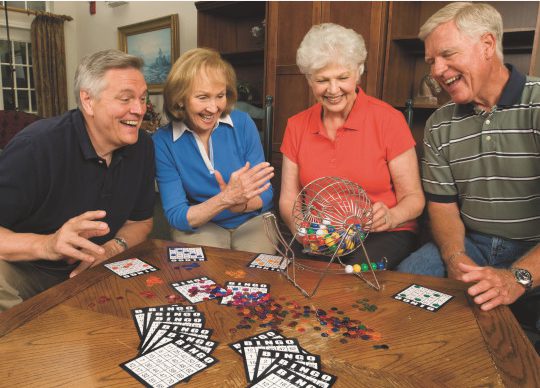 Conduct a bingo tournament