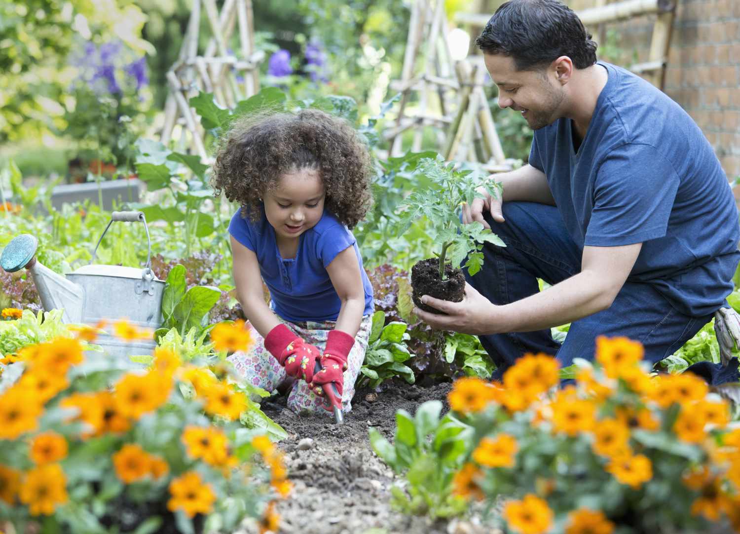 Plant a family garden