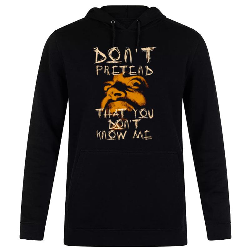 Don't Pretend You Don't Know Me Person Of Interes Hoodie