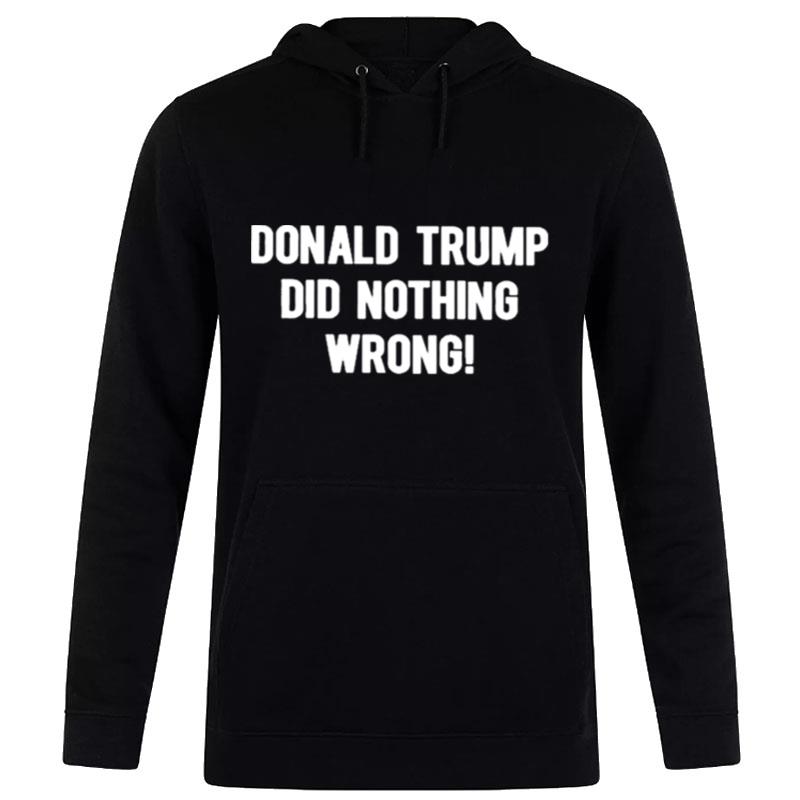 Donald Trump Did n'thing Wrong Hoodie