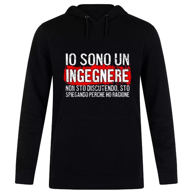 Io Sono Un Ingegnere Non Sto Discutendo Sto Spiegando Perche Ho Ragione Hoodie