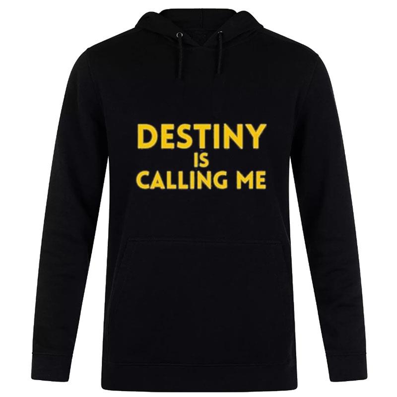 Michigan Wolverines Destiny Is Calling Me Hoodie