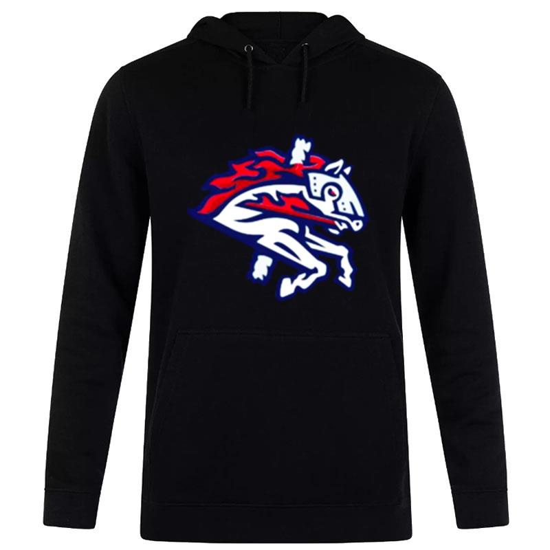 Milb Binghamton Rumble Ponies Tee Hoodie