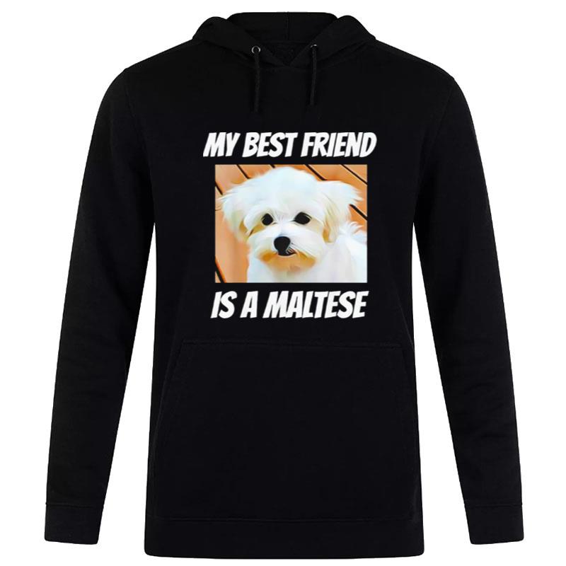 My Best Friend Is A Maltese Hoodie