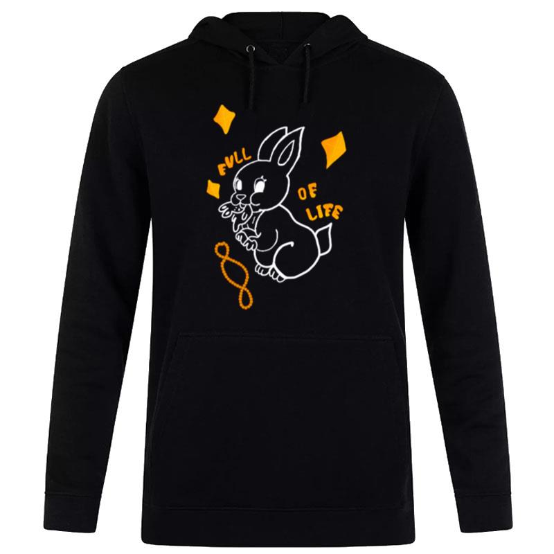 New Jeans Bunny Member Hoodie