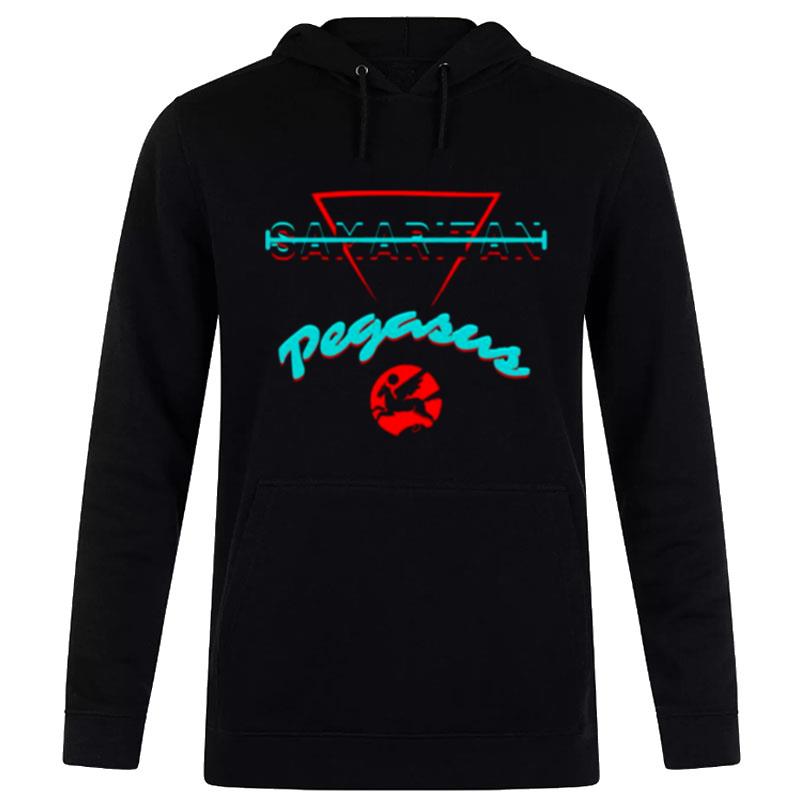 Not Samaritan Pegasus Spyware Person Of Interes Hoodie