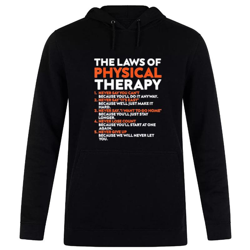 The Laws Of Physical Therapy Motivational Goals Pt Hoodie