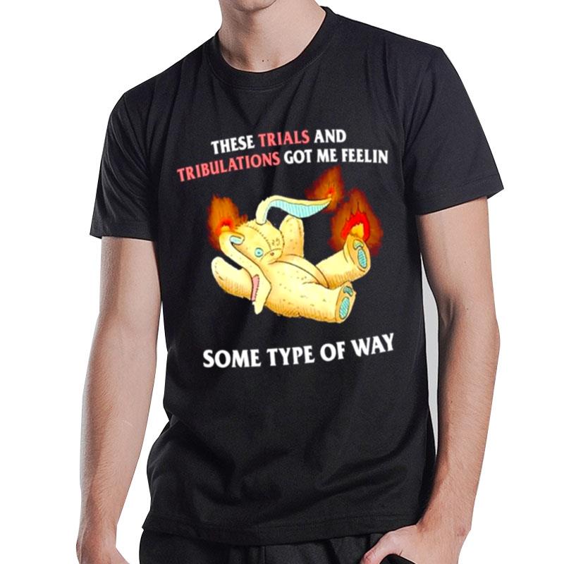 These Trials And Tribulations Got Me Feelin Some Type Of Way T-Shirt