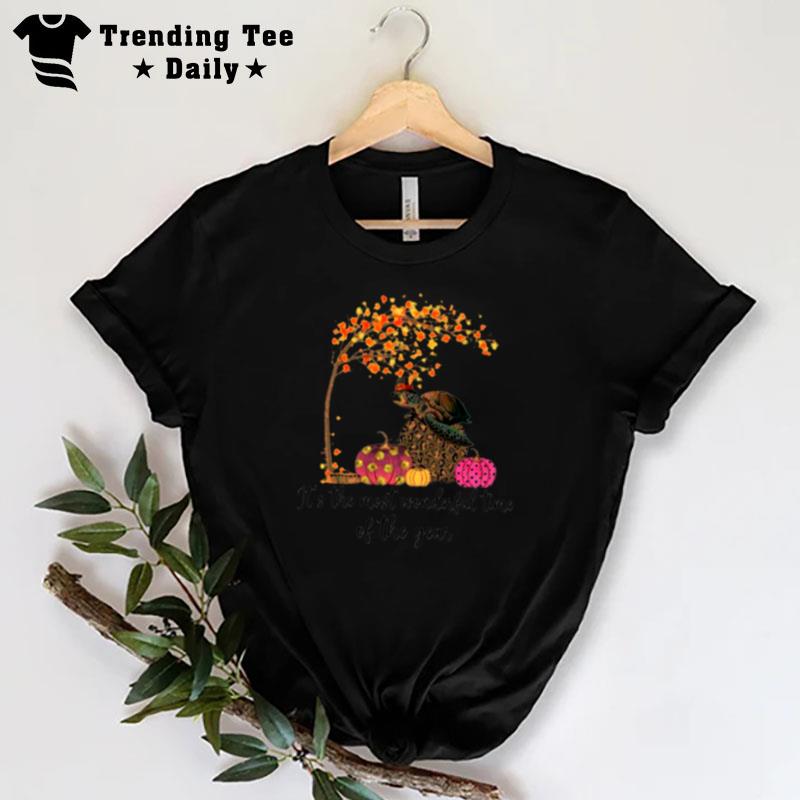 Turtle Autumn It's The Most Wonderful World Time Of The Year T-Shirt