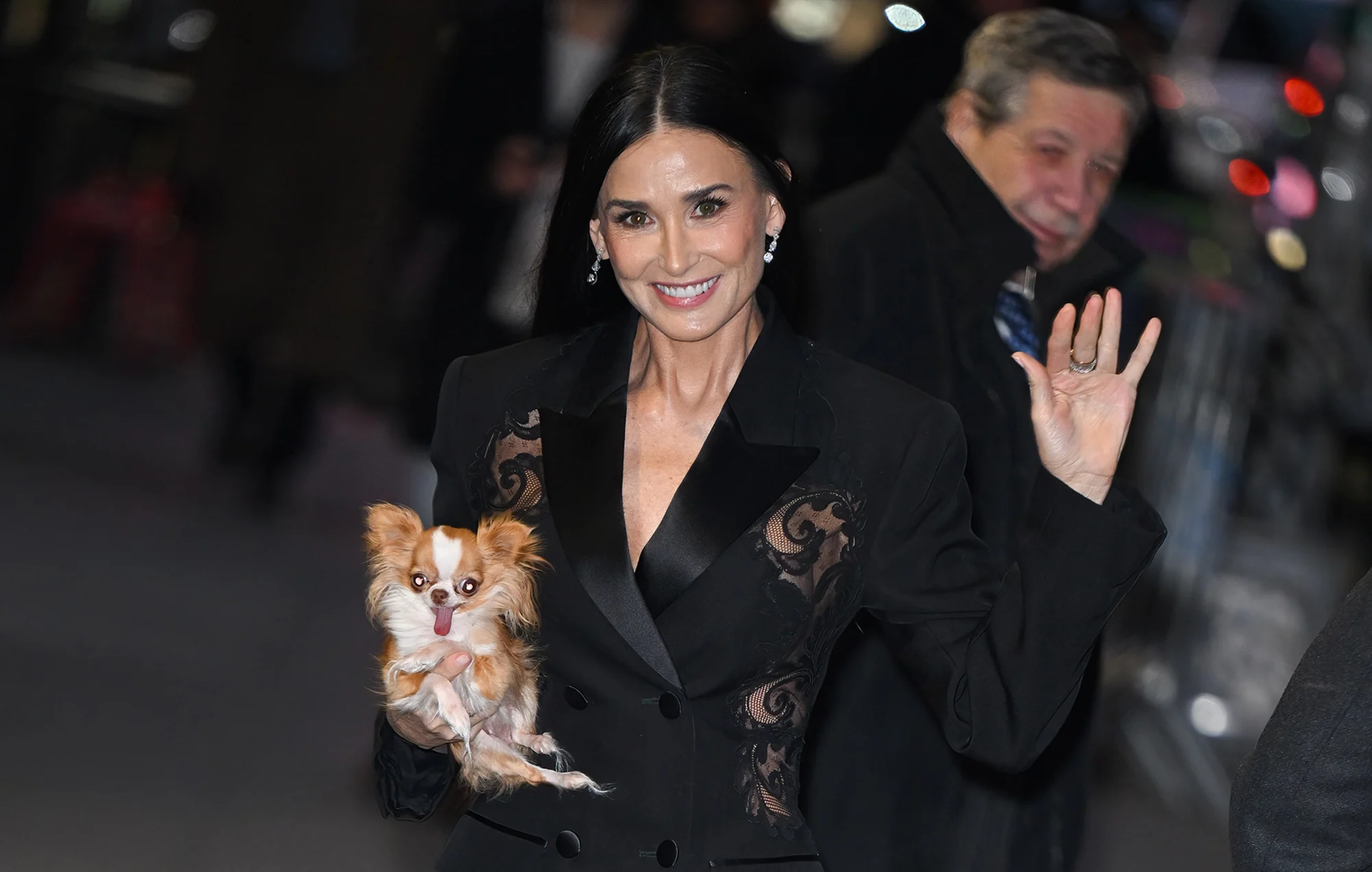 Demi Moore and the Return of the Handbag Dog